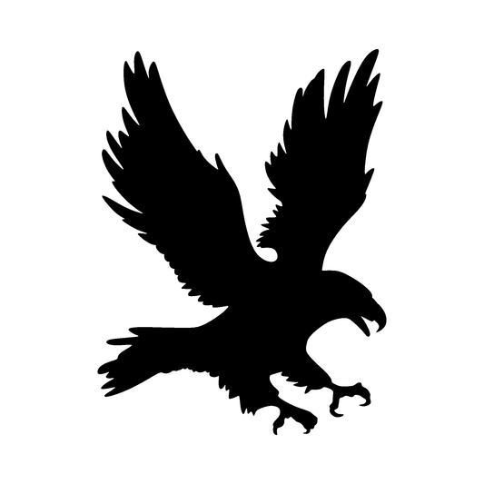 Eagle Metal Sign